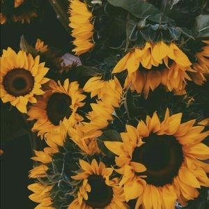 Meet your Posher, Yulissa